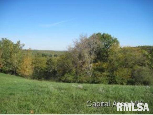 45 Vista Rdg, Petersburg IL, 62675 land for sale