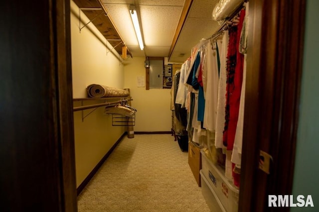 spacious closet with light carpet and a drop ceiling