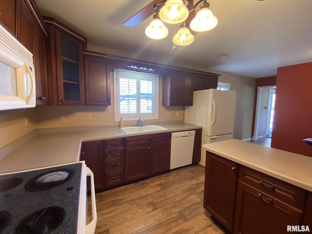 kitchen featuring light wood-type flooring, sink, and white appliances