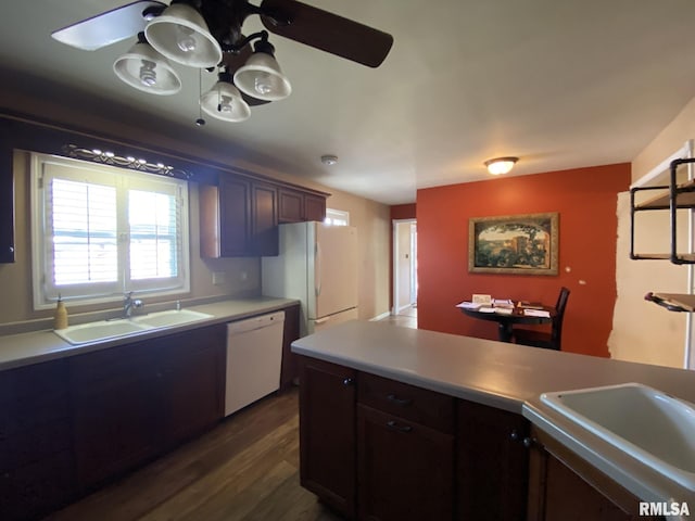 kitchen featuring dark wood-type flooring, white appliances, ceiling fan, and sink