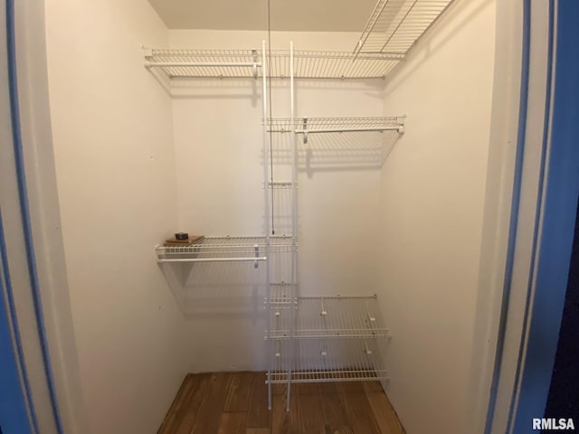 spacious closet with hardwood / wood-style floors