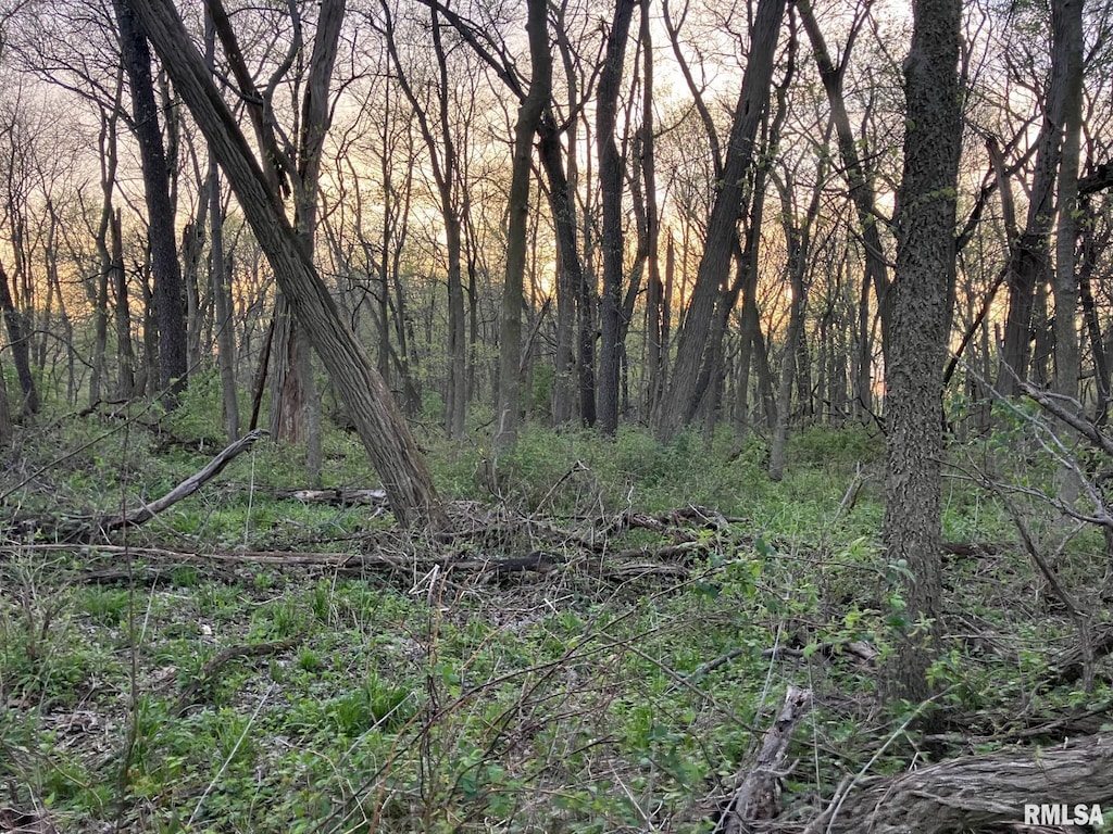 N Township Rd, Oquawka, IL 61469 - photo 2