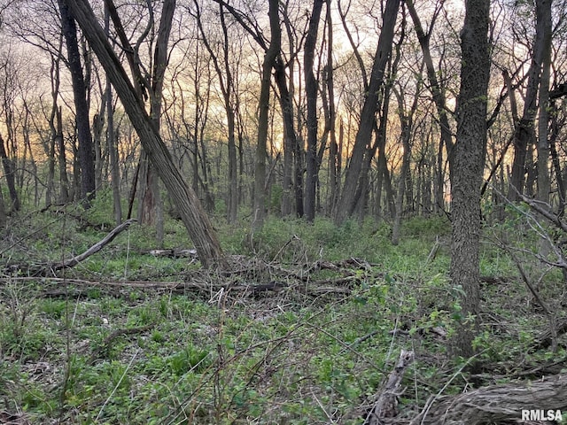 N Township Rd, Oquawka, IL 61469 - photo 2