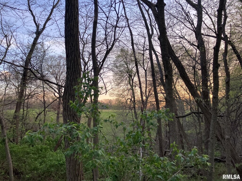 N Township Rd, Oquawka, IL 61469 - photo 3