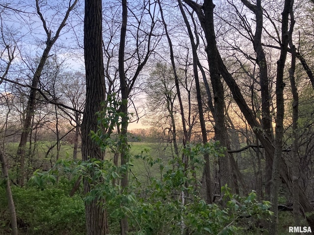 N Township Rd, Oquawka, IL 61469 - photo 3