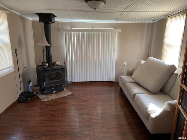 living room featuring a wood stove and dark hardwood / wood-style floors