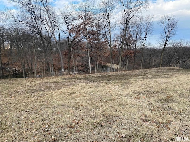 17 Deer Meadow Ln, Petersburg IL, 62675 land for sale