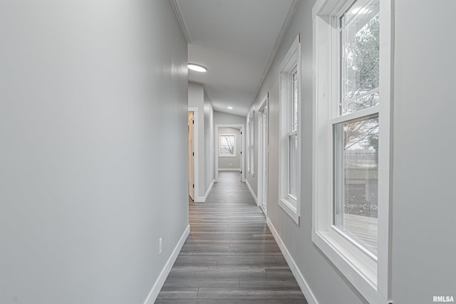 hallway with vaulted ceiling and dark hardwood / wood-style flooring