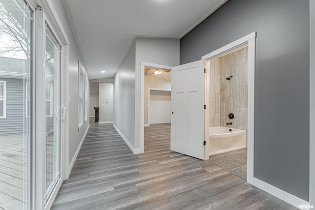 hallway with ornamental molding and light wood-type flooring