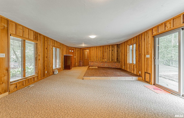 interior space with a wealth of natural light, light carpet, and a textured ceiling