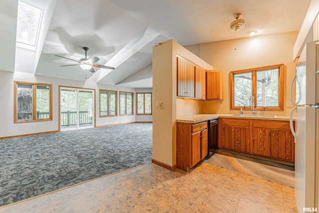 kitchen with fridge, ceiling fan, sink, light colored carpet, and black dishwasher