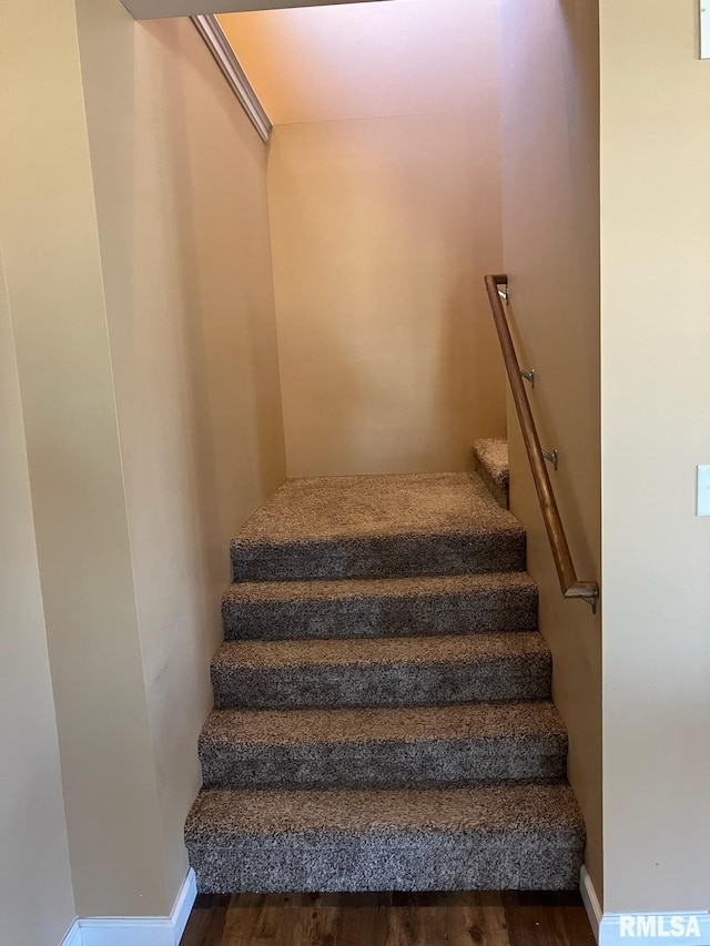 staircase featuring wood-type flooring