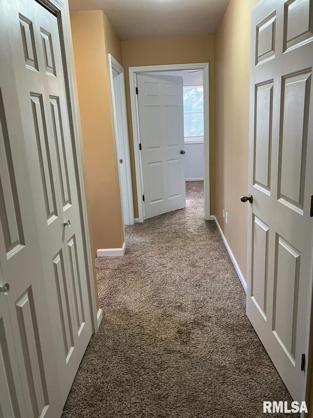 hallway featuring carpet floors