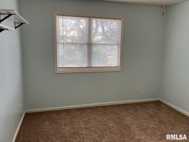 spacious closet featuring carpet floors