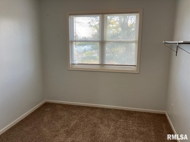 unfurnished room featuring carpet floors