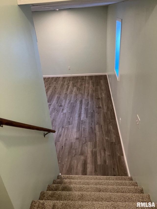 staircase featuring hardwood / wood-style flooring