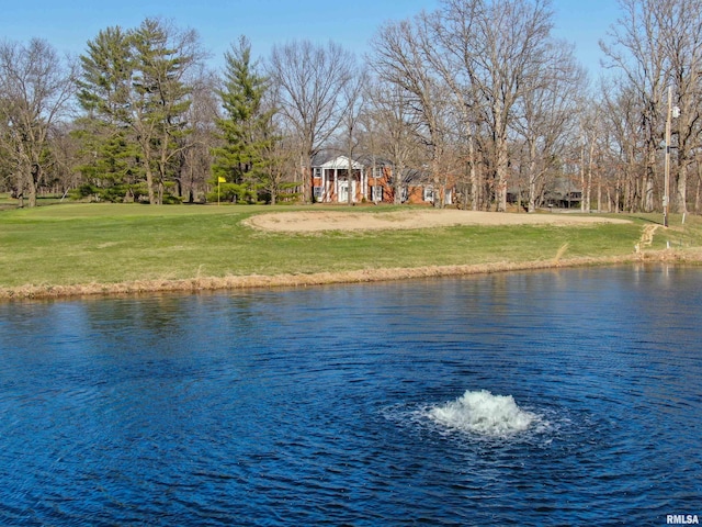 view of water feature