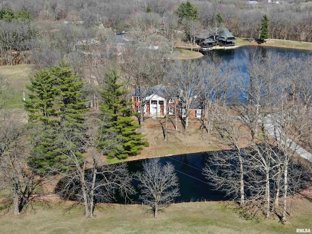 bird's eye view with a water view