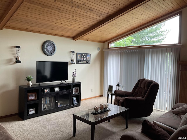 carpeted living room featuring wood ceiling, lofted ceiling with beams, and a wealth of natural light