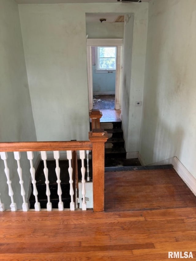 staircase with dark hardwood / wood-style flooring