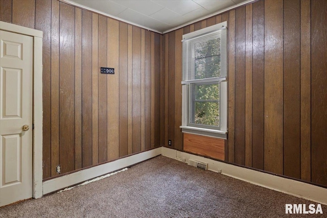 carpeted empty room with wooden walls and a wealth of natural light