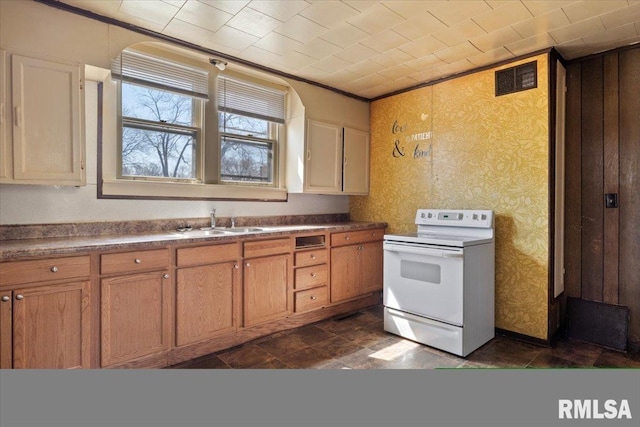 kitchen with white range with electric cooktop and sink