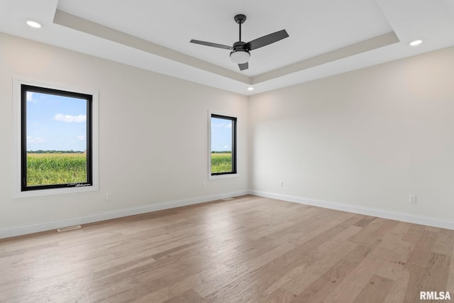 spare room with light wood-type flooring, a raised ceiling, and a wealth of natural light