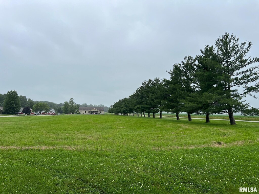 LOT22 Guinan St, Petersburg, IL 62675 - photo 1
