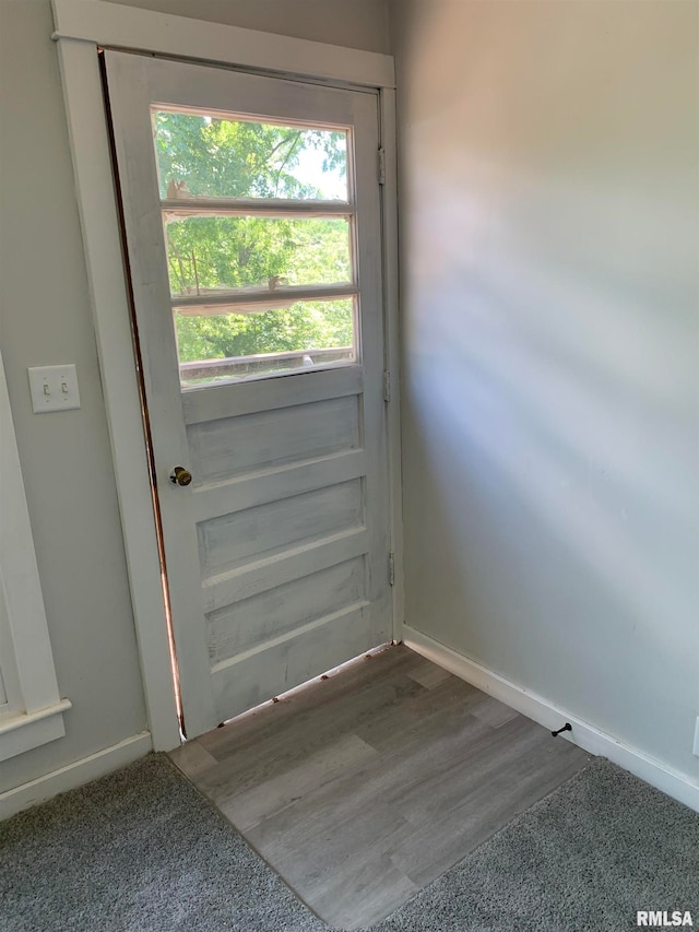 entryway featuring hardwood / wood-style flooring