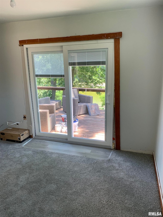 entryway with carpet flooring and a wealth of natural light