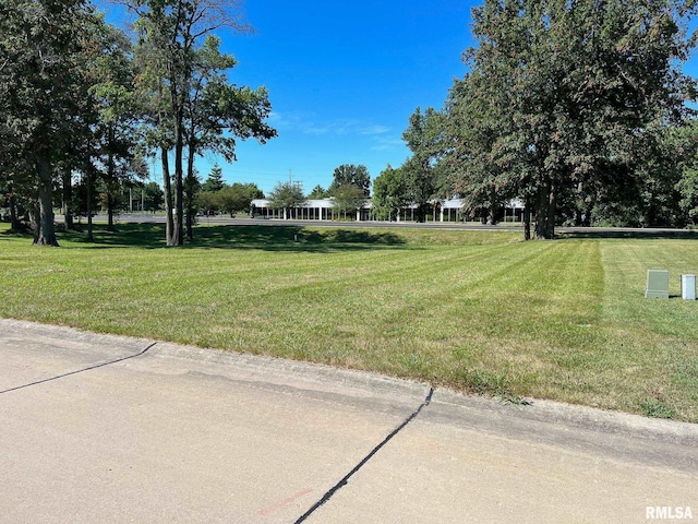 3 Eastland Ct, Carlinville, IL 62626 - photo 4