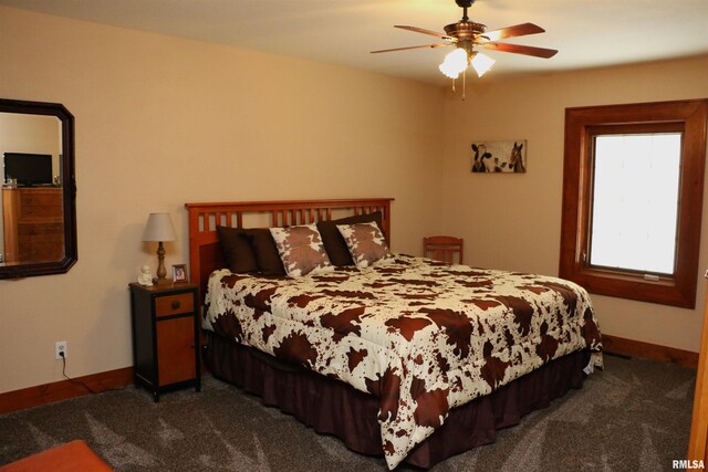 2064 E 2200th St, Camp Point, IL 62320 - photo 36