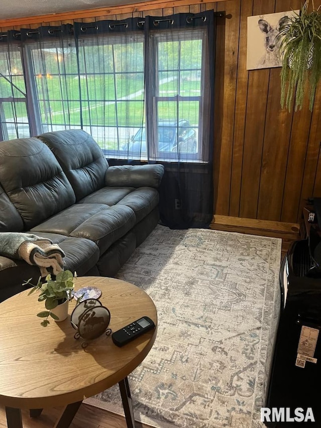 living room featuring wooden walls