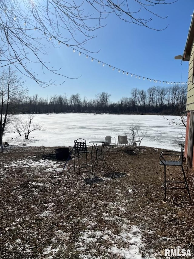 view of yard covered in snow