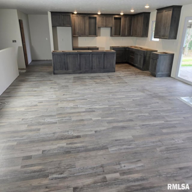 kitchen featuring dark brown cabinets and light hardwood / wood-style flooring