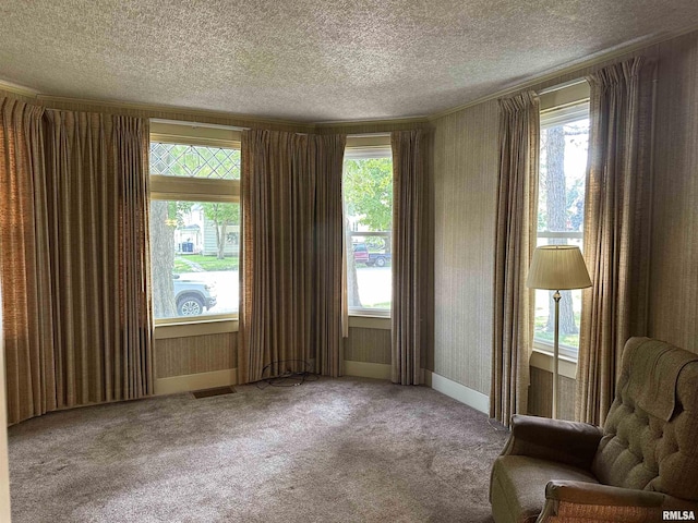 212 S Broadway St, Stronghurst, IL 61480 - unfurnished room with crown molding, baseboards, a textured ceiling, carpet floors, and visible vents