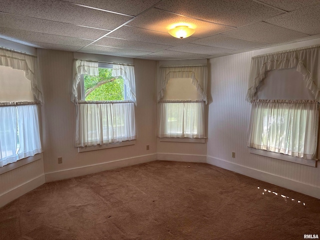 spare room featuring carpet flooring and a drop ceiling