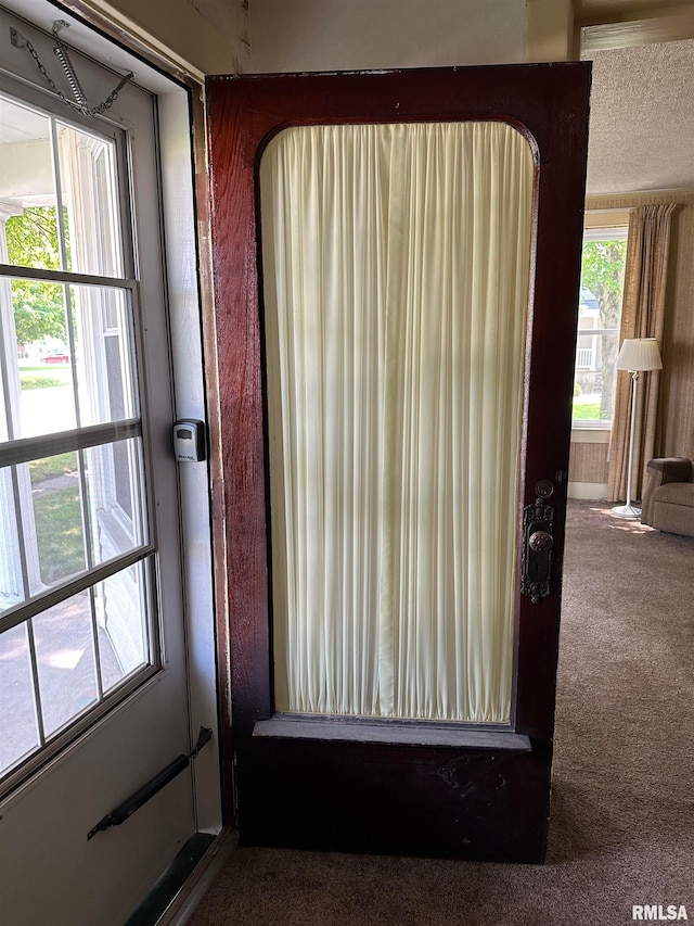 details featuring carpet flooring and a textured ceiling