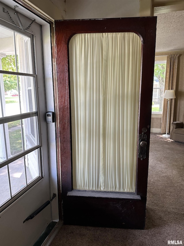 212 S Broadway St, Stronghurst, IL 61480 - room details with carpet flooring