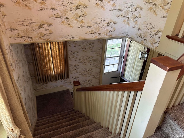 stairway with carpet floors