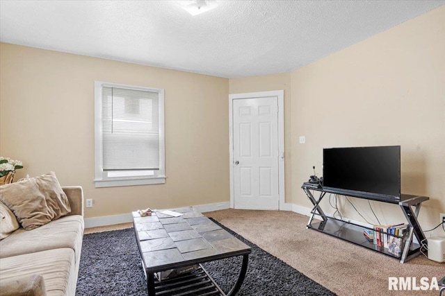 living room with carpet flooring and a textured ceiling