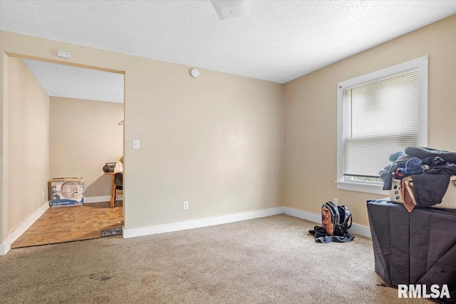 misc room featuring carpet and a textured ceiling