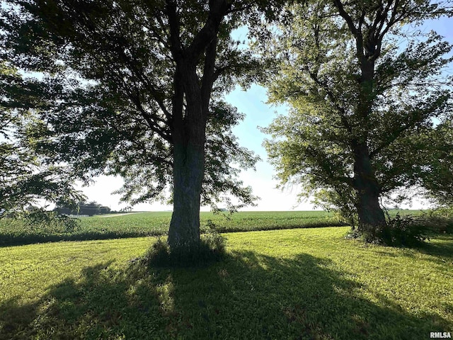 view of yard featuring a rural view