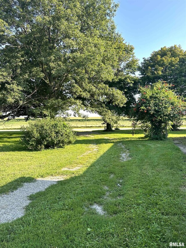 view of yard featuring a rural view