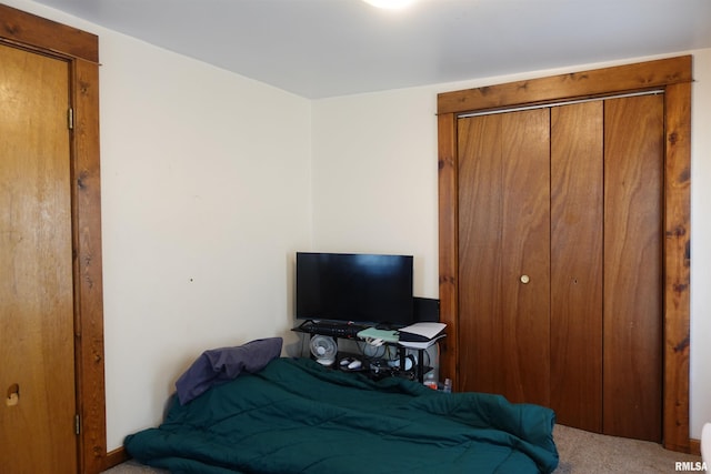 bedroom featuring carpet and a closet