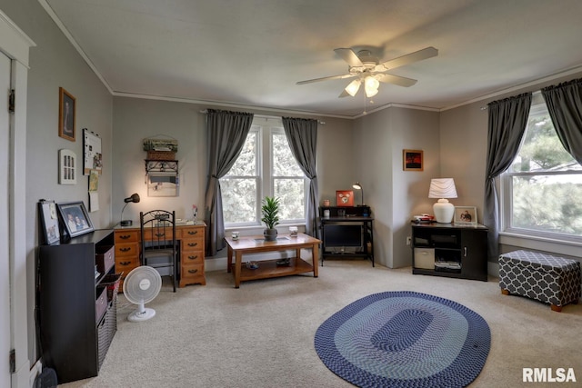 living area with ceiling fan, crown molding, and carpet floors