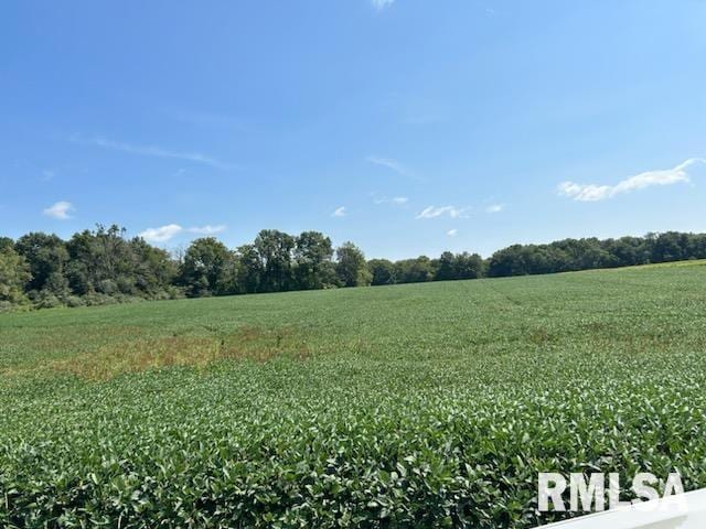 00 Minder Rd, Rochester IL, 62563 land for sale