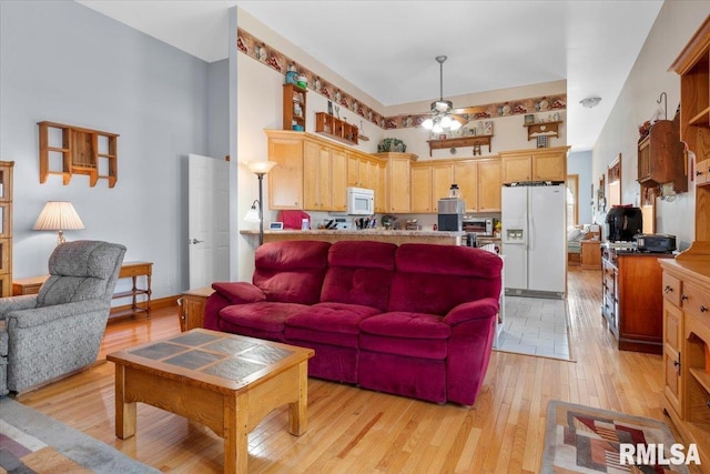 living room with light hardwood / wood-style floors and a high ceiling