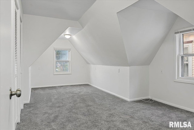 additional living space featuring vaulted ceiling and carpet floors