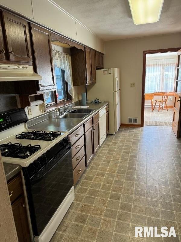 kitchen featuring white appliances, dark brown cabinetry, and sink